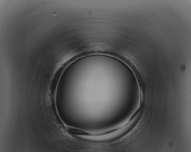 X0000097971018200804011715