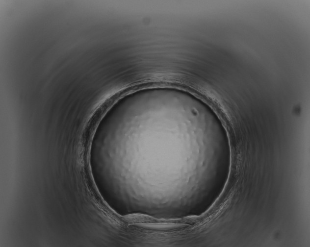 X0000097971019200804011715