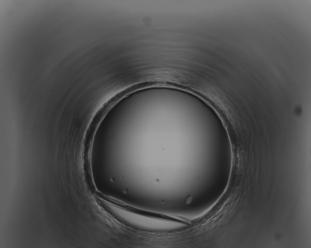 X0000097971020200804011715