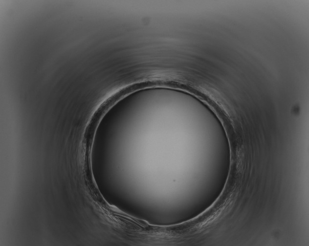 X0000097971021200804011715