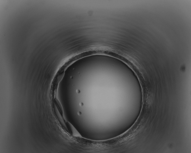 X0000097971022200804011715