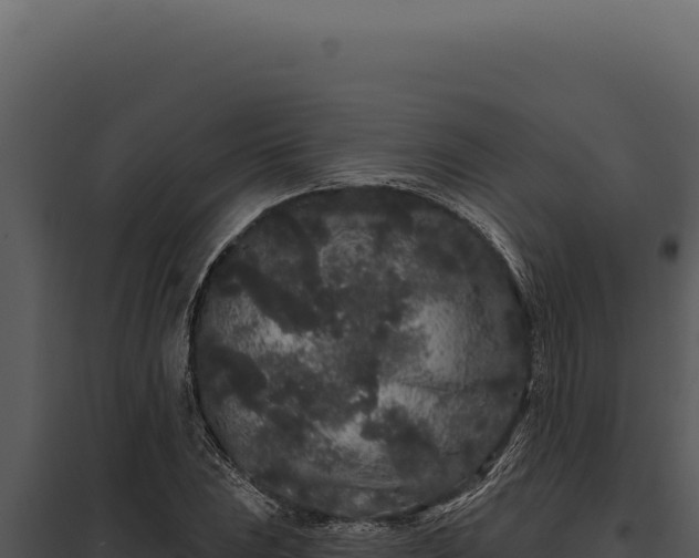X0000097971023200804011715