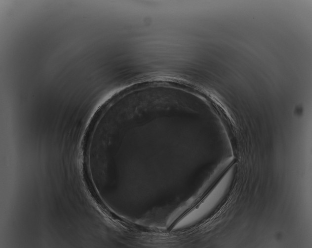 X0000097971024200804011715