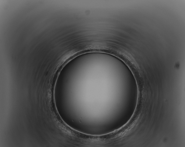 X0000097971025200804011715