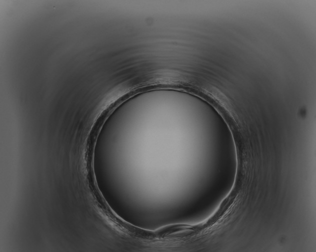 X0000097971026200804011715