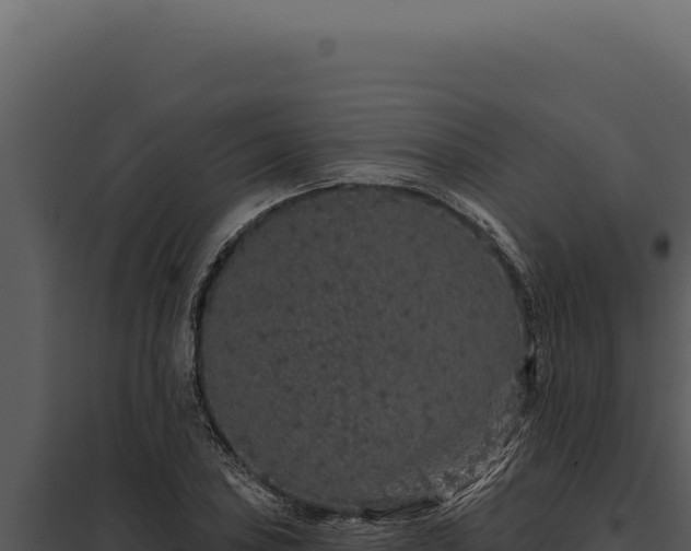 X0000097971027200804011715