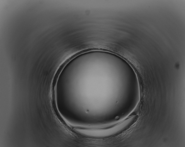 X0000097971028200804011715