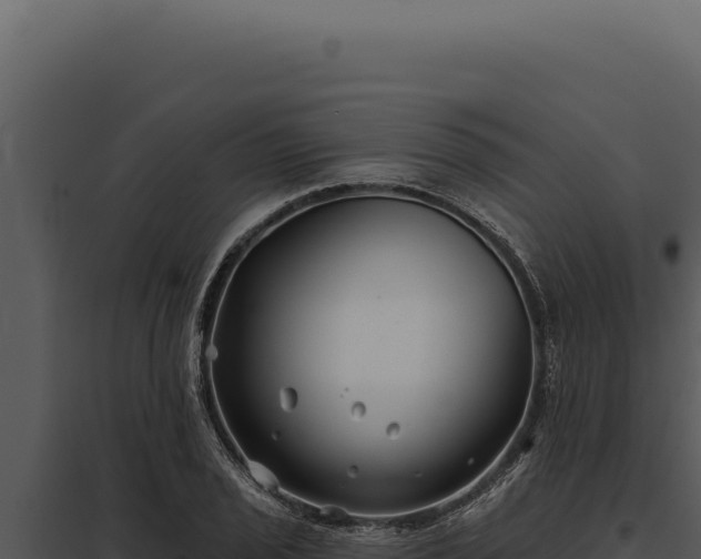 X0000097971029200804011715