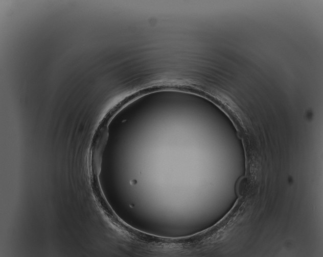 X0000097971030200804011715