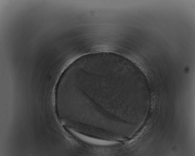 X0000097971031200804011715
