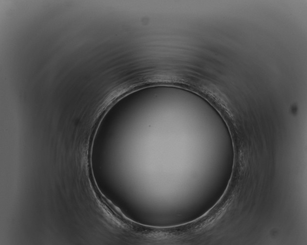 X0000097971033200804011715