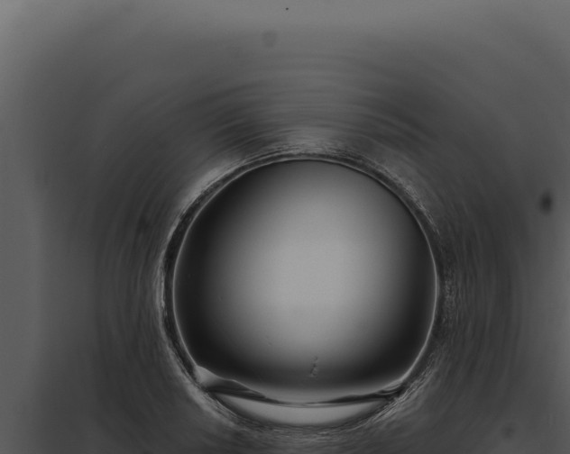 X0000097971034200804011715