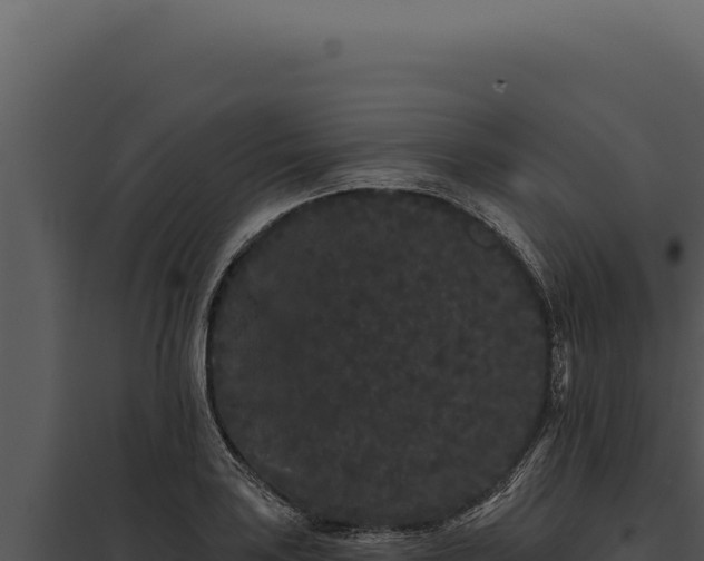 X0000097971035200804011715