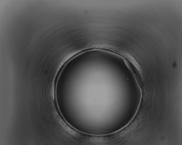 X0000097971036200804011715