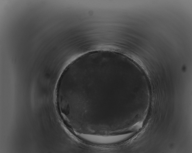 X0000097971037200804011715