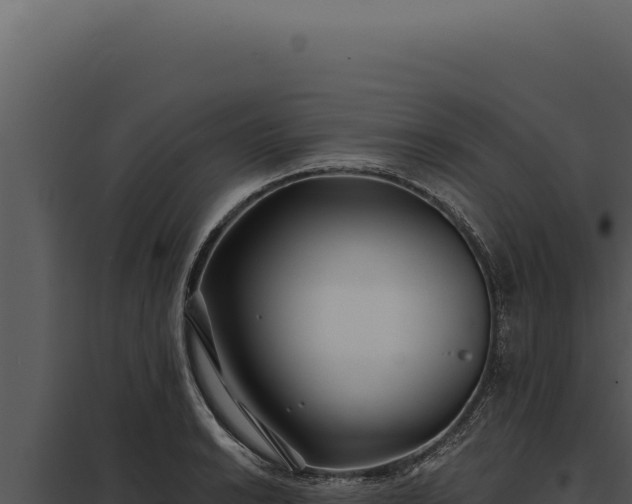 X0000097971038200804011715