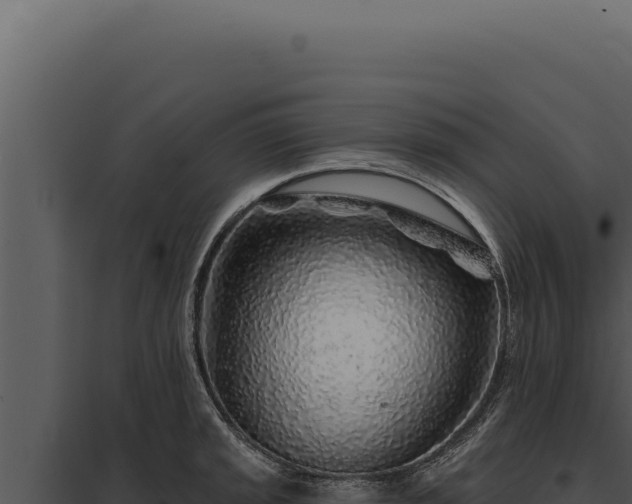 X0000097971045200804011716