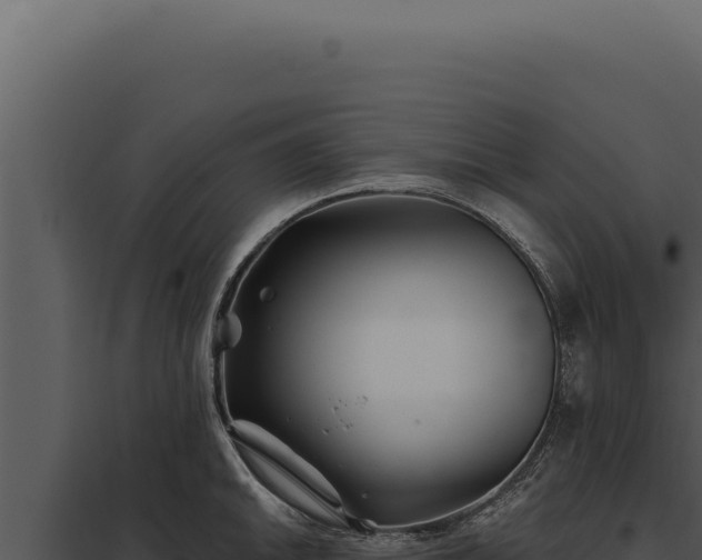 X0000097971046200804011716