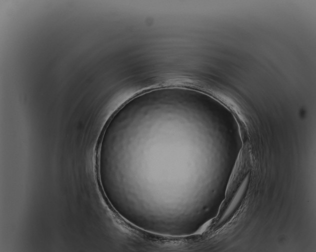 X0000097971047200804011716