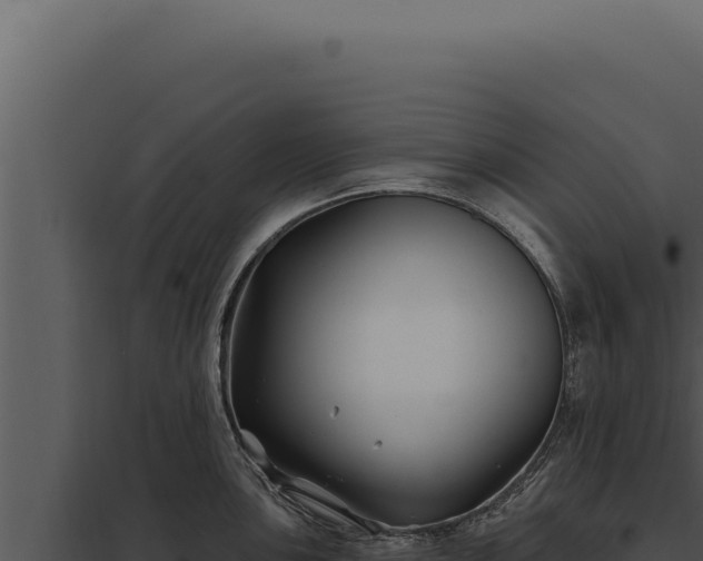 X0000097971051200804011716