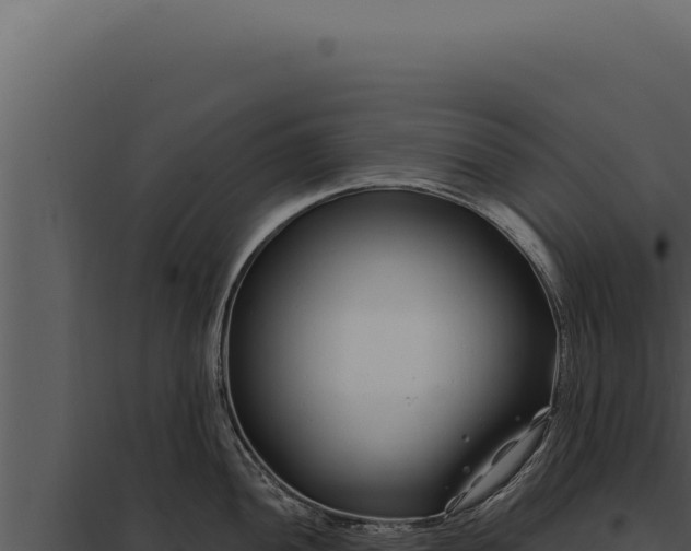 X0000097971052200804011716