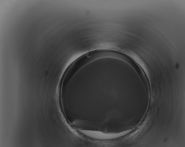 X0000097971053200804011716