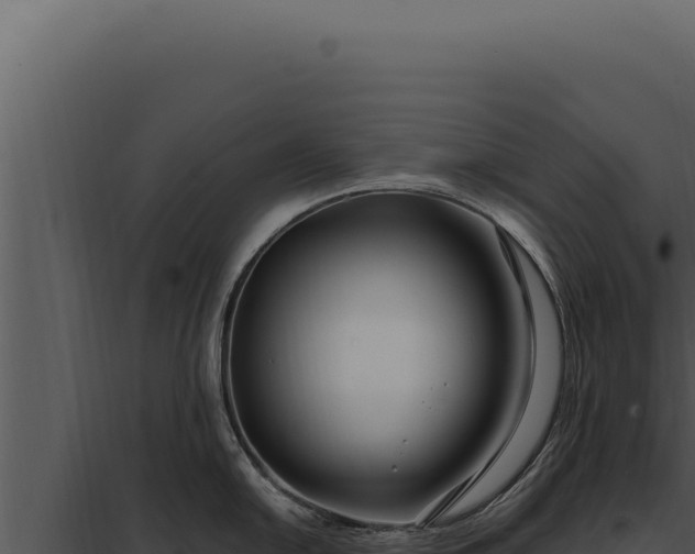 X0000097971054200804011716