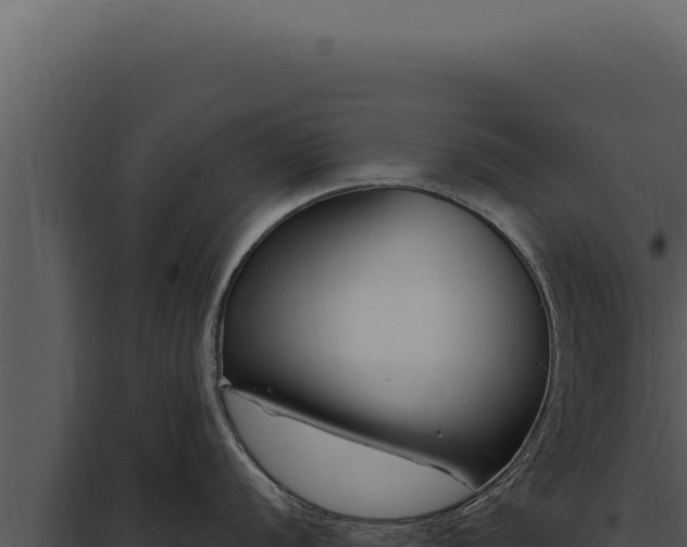 X0000097971056200804011716