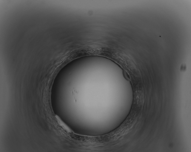 X0000097971057200804011715