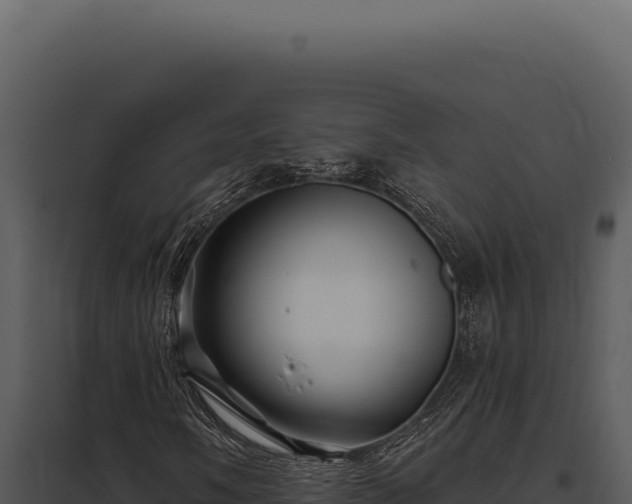 X0000097971058200804011715
