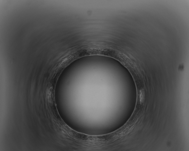 X0000097971059200804011715