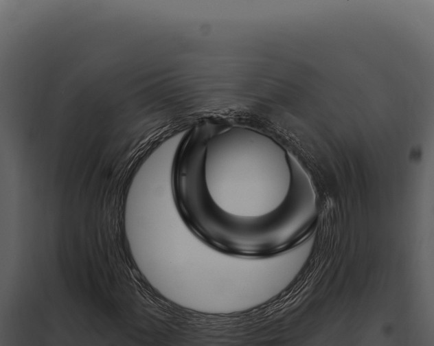 X0000097971060200804011715