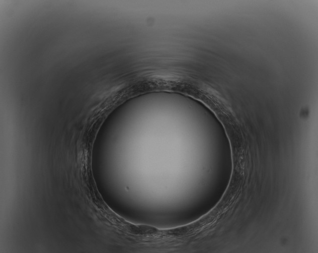 X0000097971061200804011715