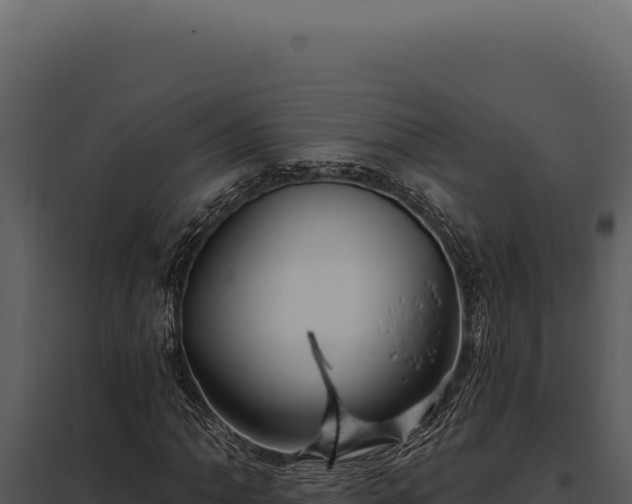 X0000097971062200804011715