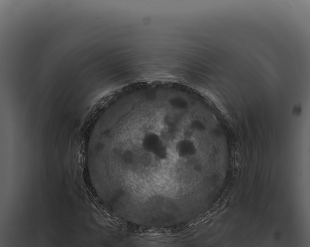 X0000097971063200804011715