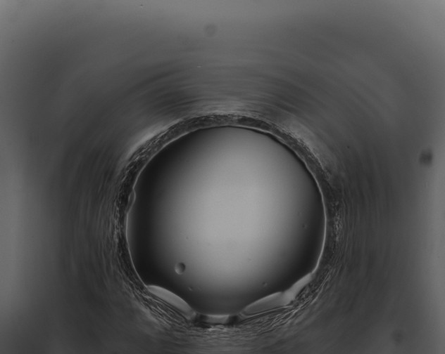 X0000097971064200804011715