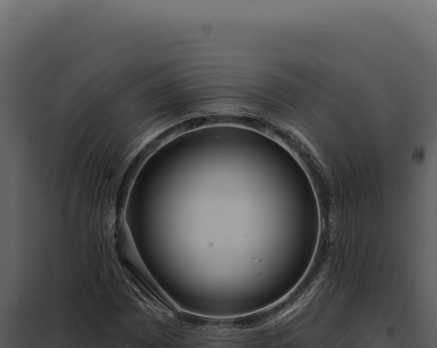 X0000097971065200804011715