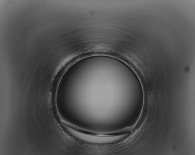 X0000097971066200804011715