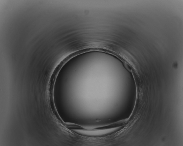 X0000097971068200804011715