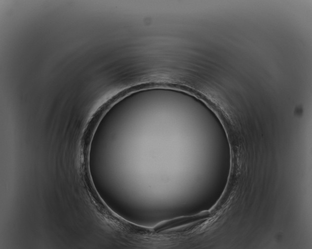 X0000097971070200804011715