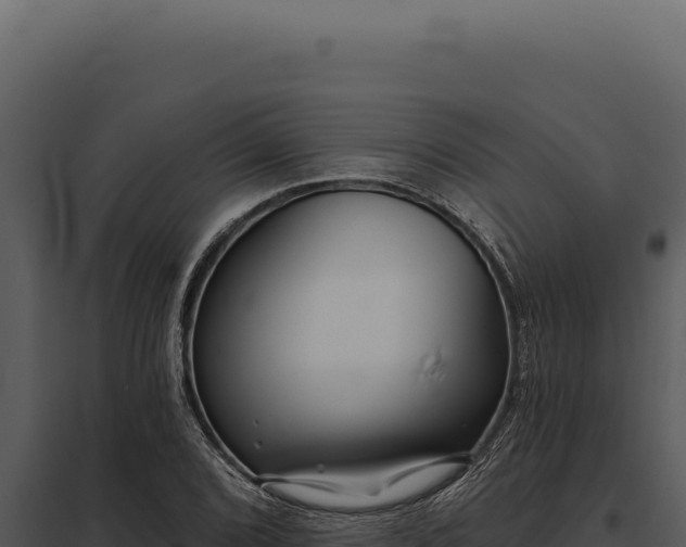 X0000097971072200804011715