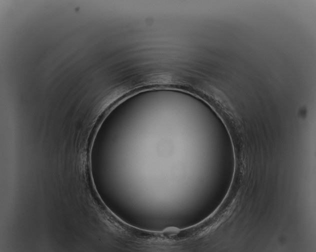 X0000097971073200804011715