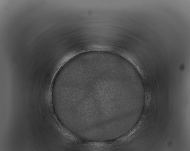 X0000097971074200804011715
