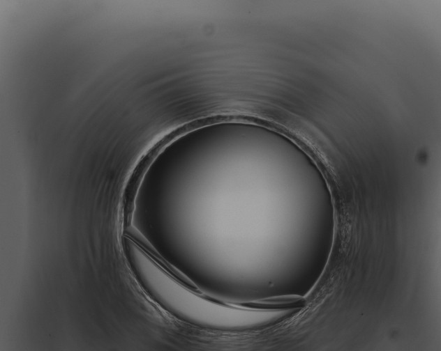 X0000097971076200804011715