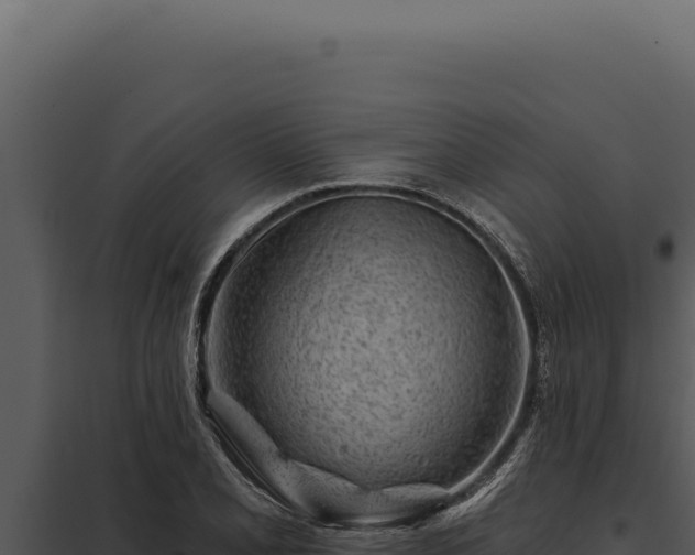 X0000097971077200804011715