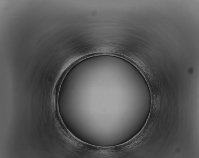 X0000097971078200804011715