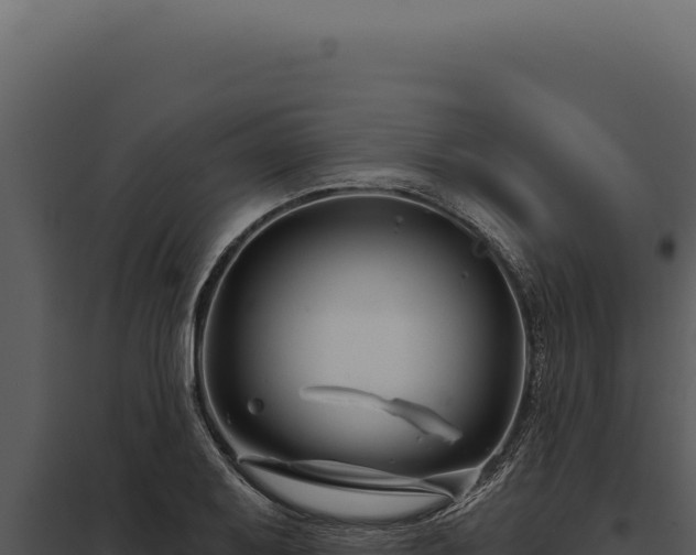 X0000097971079200804011715