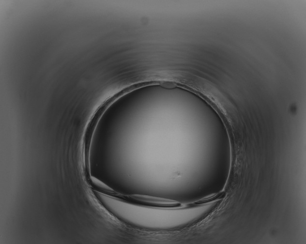 X0000097971080200804011715
