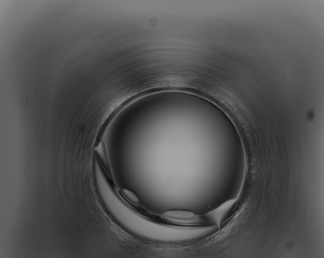 X0000097971081200804011715
