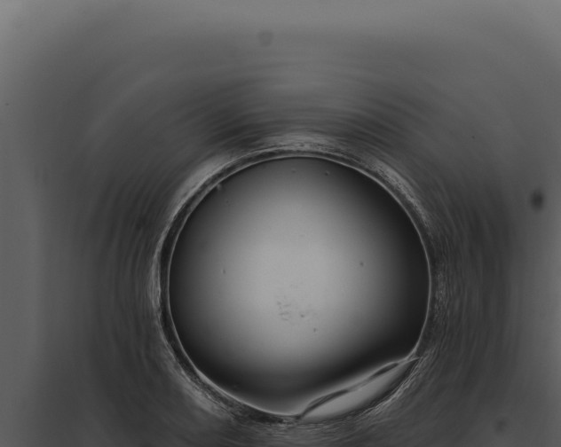 X0000097971082200804011715